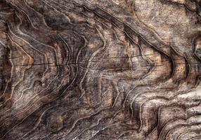 Fototapetas Artgeist Signs Of The Times - An Abstract Background With The Wrinkled Bark Of An Old Tree, 140 cm x 140 cm