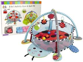 Aktyvumo kilimėlis Lean Toys Gym & Ball Pit Ladybug, 66 cm x 96 cm, įvairių spalvų