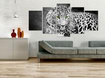 Reprodukcija Artgeist Leopard - Black&White N3597-DKX, 200 cm x 100 cm