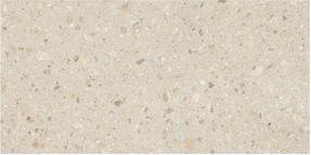 Plytelės, akmens masės Stn Ceramica TERRAZO BEIGE 1.428(2), 120 cm x 59.5 cm, rusva sp.