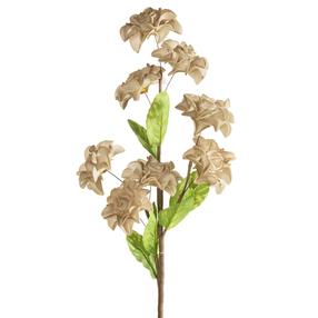 Mākslīgie ziedi Flore 865, bēša krās., 65 cm x 20 cm
