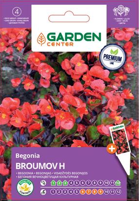 Sėklos Garden Center begonija BROUMOV H, 7 g