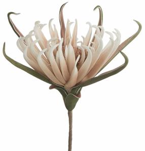 Dirbtinė gėlė Flore 827, smėlio sp., 62 cm