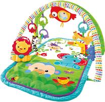 Aktyvumo kilimėlis Mattel Fisher Price, 81 cm x 50 cm, įvairių spalvų