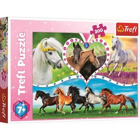 Puzle Trefl Beautiful Horses 13248, 34 cm x 48 cm, 200 gab., daudzkrāsaina