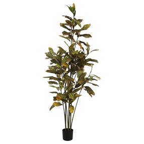 Dirbtinis augalas vazone Croton, žalia sp., 190 cm