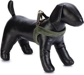 Petnešos šunims Beeztees Harness, žalia sp., 520 mm x 10 mm, 52