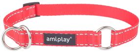 Antkaklis šunims Amiplay Reflective, raudona sp., 350 - 500 mm x 20 mm, 35-50