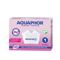 Vandens filtras Aquaphor B25 Maxfor+ MG 529310