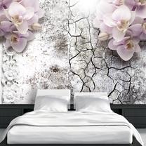 Fototapetas Artgeist Bright Red Orchids XLNEW011327, 175 cm x 250 cm