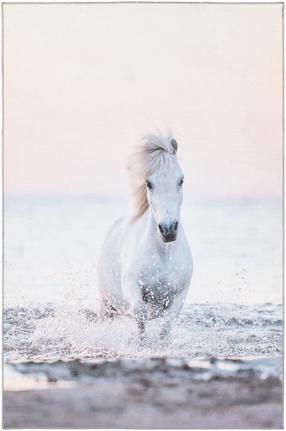 Paklājs iekštelpu 4Living Pony Dream 649343, daudzkrāsaina, 180 cm x 120 cm