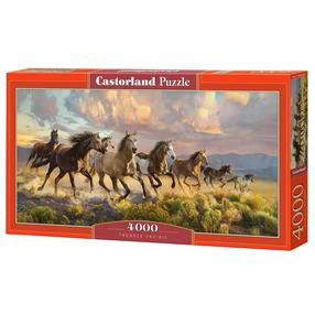 Пазл Castorland Art Thunder Prairie 400430, 68 см x 138 см, 4000 шт., многоцветный