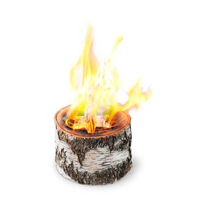 Küttepuud Starlog Medium Portable Bonfire, 4 kg