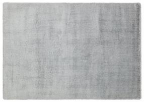 Kilimas vidaus Conceptum Hypnose 1006 724EKH8613, pilka sp., 150 cm x 80 cm