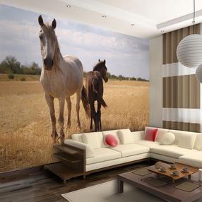 Fototapetas Artgeist Horse And Foal FTNT0140, 270 cm x 350 cm