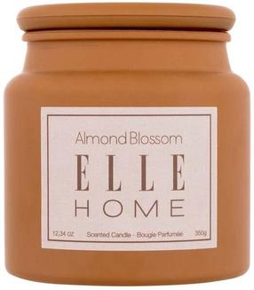 Žvakė, aromatinė Elle Home Almond Blossom, 55 - 65 h, 350 g, ruda sp.