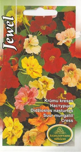 Семена астры Jewel Seeds, 6 г