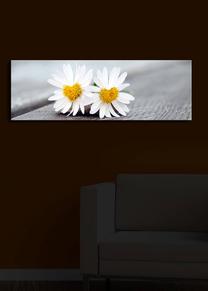 Reprodukcija Wallity 3090ÝACT-12, 30 cm