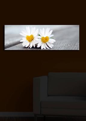 Reprodukcija Wallity 3090ÝACT-12, 30 cm