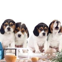 Fototapetas Artgeist Sad Puppies, 70 cm x 100 cm