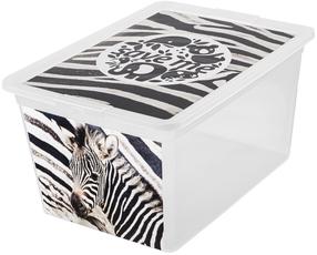 Daiktadėžė su dangčiu, žaislams Branq X Box Deco Zebra, 30 l, skaidri sp./balta sp./juoda sp., 48.5 x 36 x 30 cm