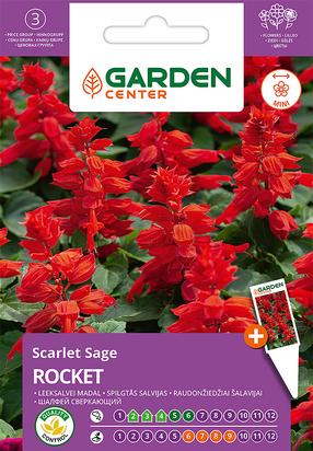 Sēklas Garden Center salvijas ROCKET, 0.4 g