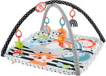 Aktyvumo kilimėlis Mattel Fisher Price 3in1 JMN72, 76 cm x 76 cm, įvairių spalvų