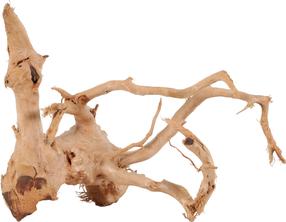 Akvārija dekorācija Zolux Spider Root 10, brūna krās., 30 cm