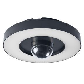 Āra sienas lampa Osram Smart+ WIFI, 22W, LED, IP44, tumši pelēka krās., 28 cm x 11.2 cm