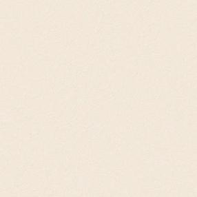 Tapeet Sintra Paint Color 541203, vinüül, beež v.