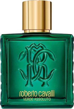 Parfüümvesi Roberto Cavalli Uomo Verde Assoluto, 100 ml