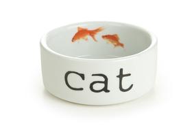 Bļoda dzīvniekam Beeztees, 0.3 l, 11 cm x 11 cm x 4 cm, balta krās.