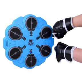Laste poksikomplekt Boxing Target SP0859, sinine v.