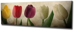 Reprodukcija Wallity PC147, 80 cm x 30 cm