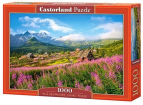 Dėlionė Castorland Hala Gasienicowa Tatras Poland 1000 el. C-104512-2, 1000 vnt.