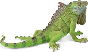 Žaislinė figūrėlė Collecta Iguana 88965, 13.8 cm, žalia sp.