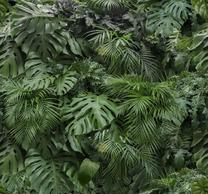 Fototapetas Art For The Home Rainforest, 280 cm x 300 cm