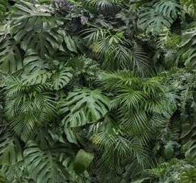 Fototapetas Art For The Home Rainforest, 280 cm x 300 cm