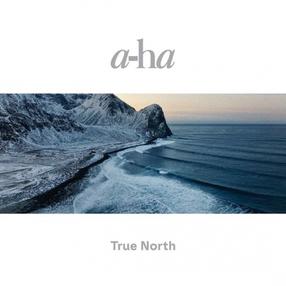 Vinilinė plokštelė a-ha True North Rock/Pop, 2022