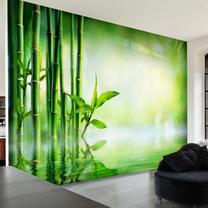 Fototapetas Artgeist Bamboo Grove, 70 cm x 70 cm
