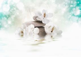 Фотообои Artgeist Heavenly Peace 4XLFT708, 280 см x 280 см