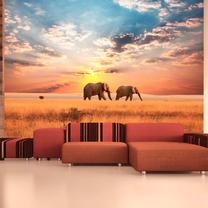 Fototapetas Artgeist African savanna elephants FTNT0100, 270 cm x 350 cm