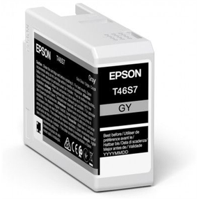 Tintes printera kasetne Epson UltraChrome Pro 10 T46S7, pelēka krās., 25 ml