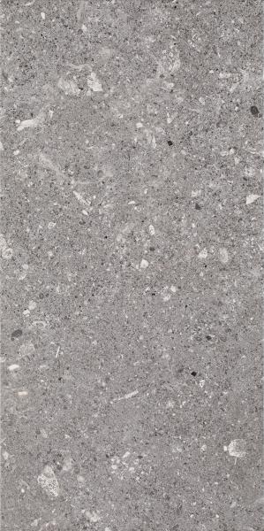 Plaadid, keraamiline Ceramika Paradyz Aragorn 5902610514265, 60 cm x 30 cm, hall v.