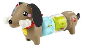 Lavinimo žaislas, šuo Mattel Fisher Price Click & Spin Activity Pup, įvairių spalvų