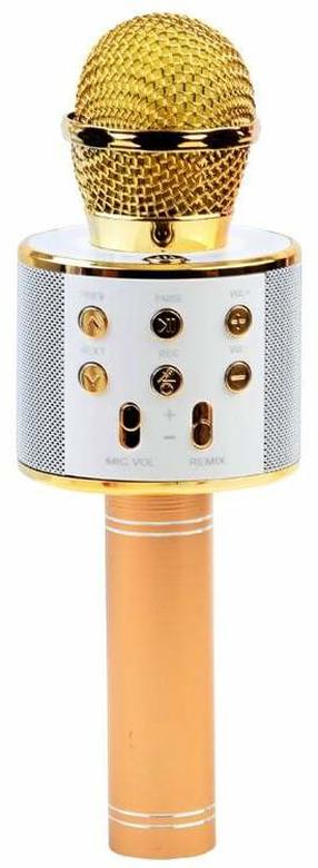 Vaikiškas mikrofonas Wireless HiFi Speaker
