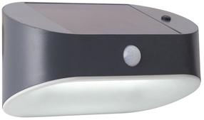 Sieninis lauko šviestuvas Searchlight Solar, 1.2W, LED, IP44, juoda sp., 17 cm x 9.5 cm