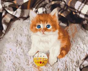 Tapymas pagal skaičius Paint it! Amused Kitten, įvairių spalvų