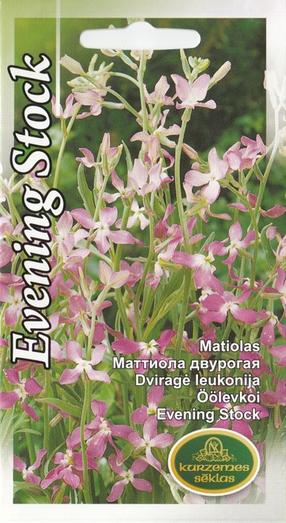 Sēklas viengadīgās Evening Stock, 5 g