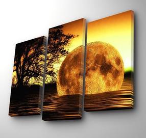 Dekoracija Wallity Canvas Painting, 45 cm, 66 cm, juoda sp./geltona sp.